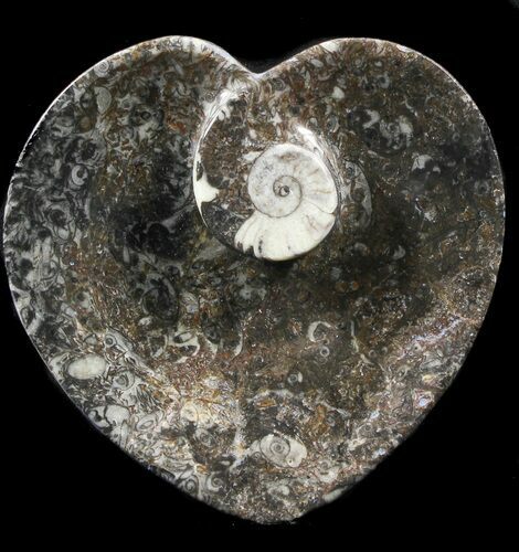 Heart Shaped Fossil Goniatite Dish #39342